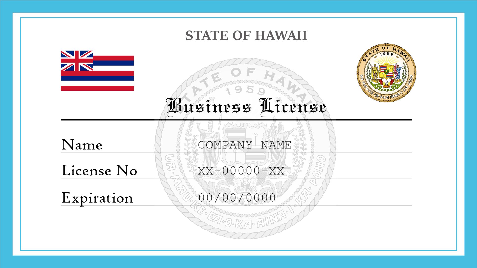 hawaii business license search