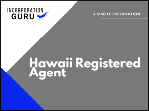 hawaii registered agent reviews