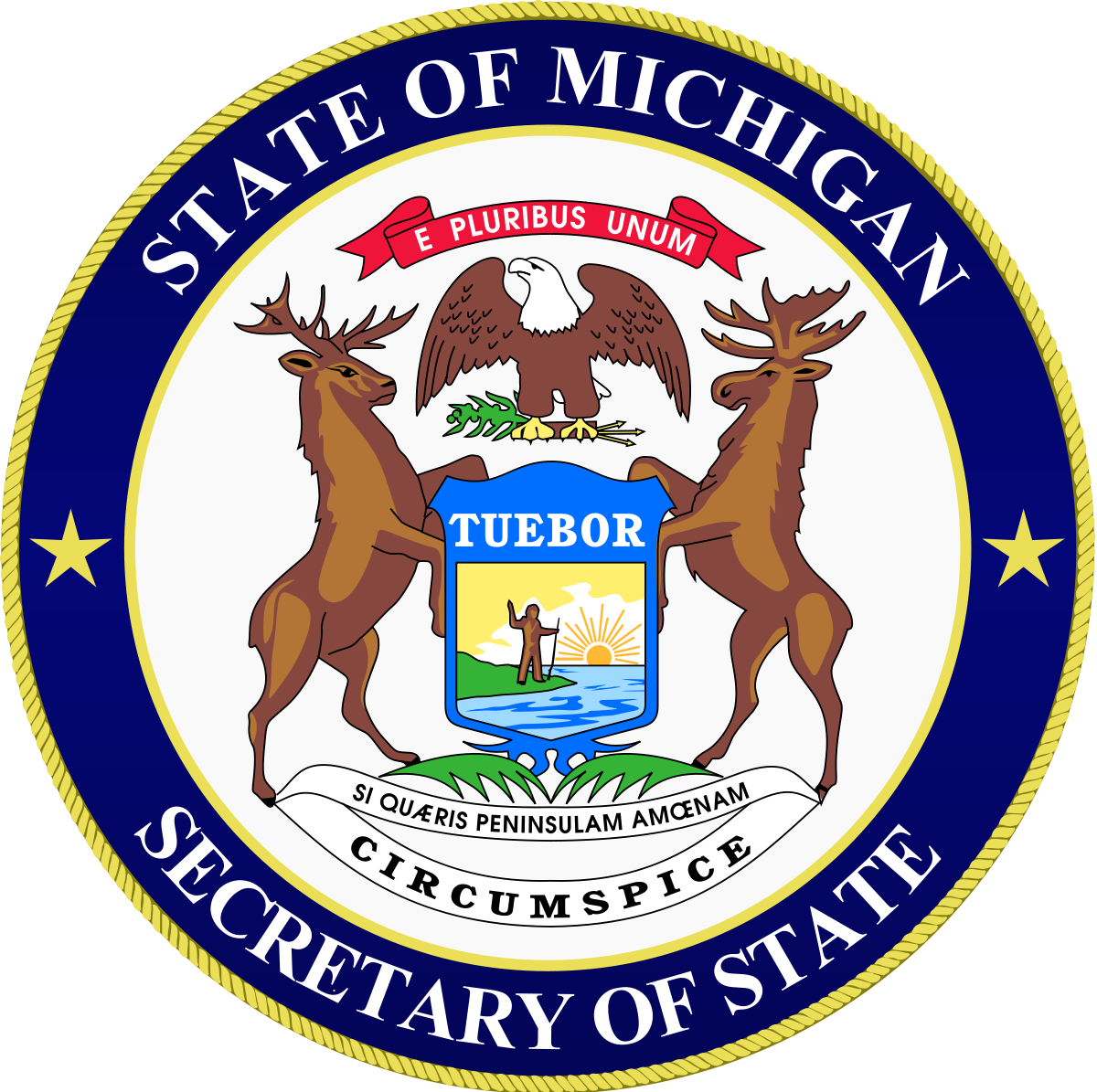 Secretary of State Michigan