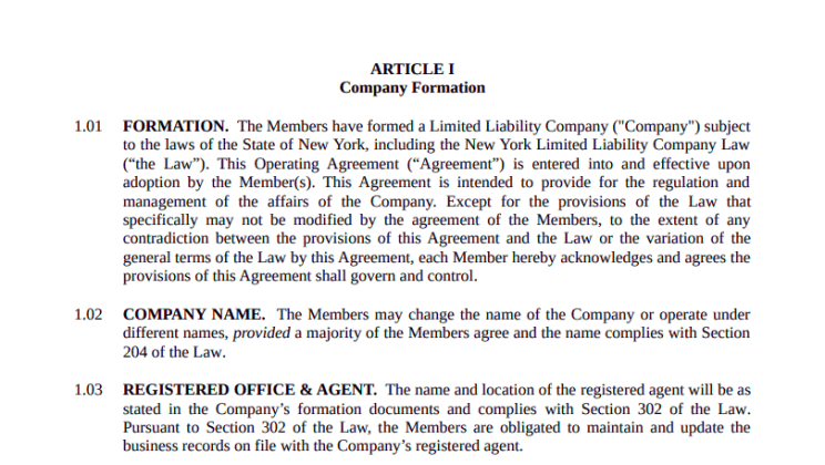 LLC Operating Agreement New York