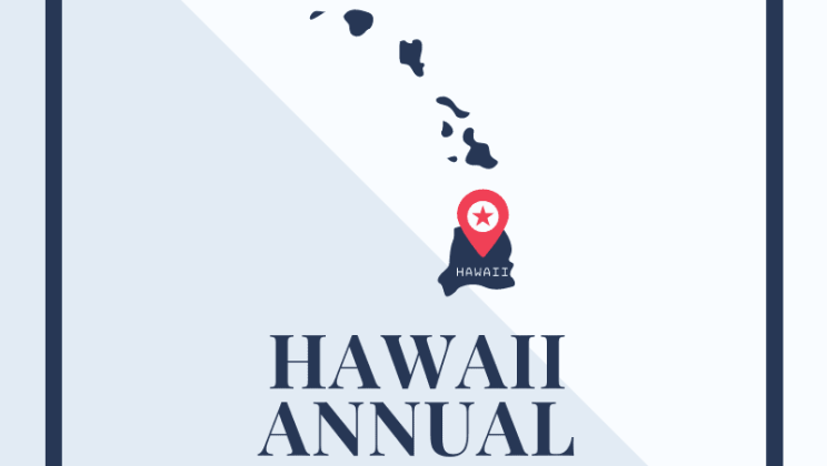 hawaii Llc Annual Report