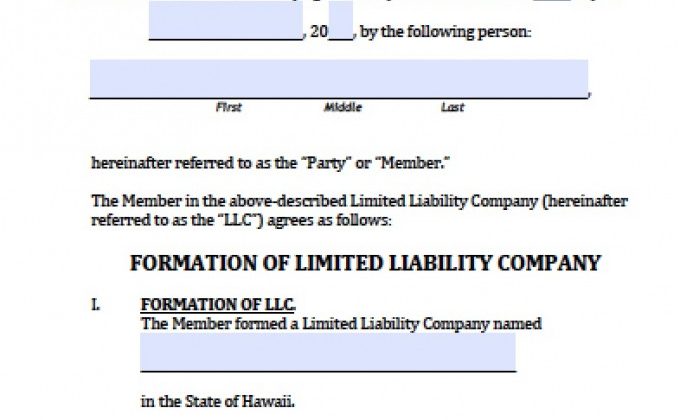single-member Llc Operating Agreement Hawaii