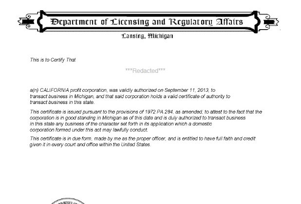 michigan Certificate Of Authority Search